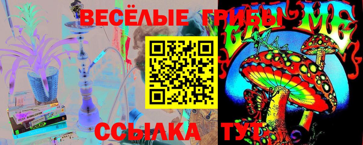 Псилоцибиновые грибы ЛСД Королёв