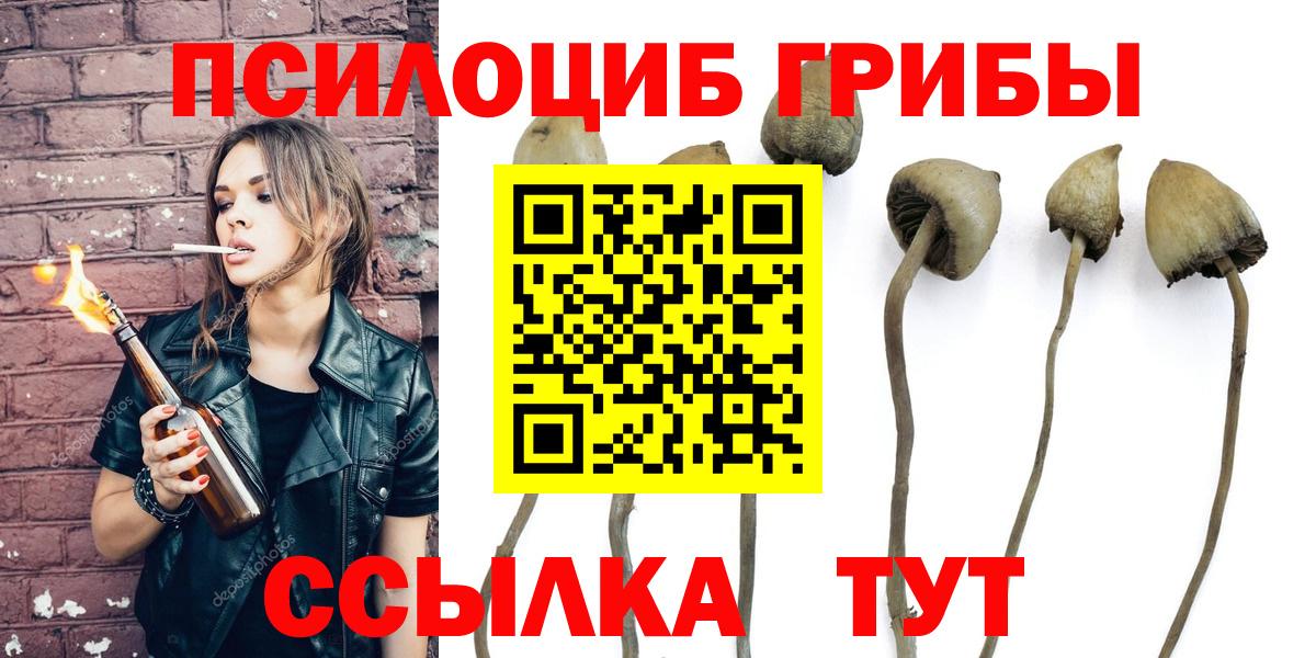 Псилоцибиновые грибы мицелий  Вход с VPN  Королёв 